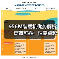 956M装载机优势解析：高效可靠，性能卓越（图4）