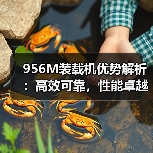 956M装载机优势解析：高效可靠，性能卓越（图3）