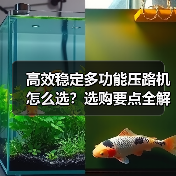 高效稳定多功能压路机怎么选？选购要点全解析（图4）