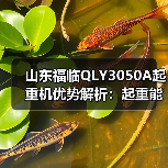山东福临QLY3050A起重机优势解析：起重能力强、安全可靠、低维护成本
