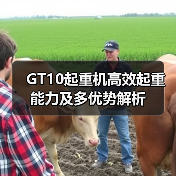 GT10起重机高效起重能力及多优势解析(图2) GT10起重机高效起重能力及多优势解析(图2)