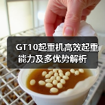 GT10起重机高效起重能力及多优势解析(图1) GT10起重机高效起重能力及多优势解析(图1)