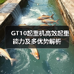 GT10起重机高效起重能力及多优势解析(图3) GT10起重机高效起重能力及多优势解析(图3)