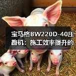 宝马格BW220D-40压路机:施工效率提升的全能之选(图2) 宝马格BW220D-40压路机:施工效率提升的全能之选(图2)