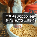 宝马格BW220D-40压路机:施工效率提升的全能之选(图3) 宝马格BW220D-40压路机:施工效率提升的全能之选(图3)
