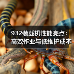 932装载机性能亮点：高效作业与低维护成本详解（图4）