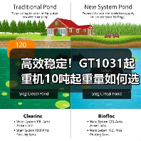 高效稳定!GT1031起重机10吨起重量如何选择?(图2) 高效稳定!GT1031起重机10吨起重量如何选择?(图2)