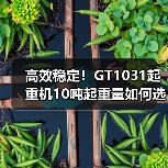 高效稳定!GT1031起重机10吨起重量如何选择?(图1) 高效稳定!GT1031起重机10吨起重量如何选择?(图1)