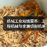 机械工业双线复苏：工程机械与金属切削机床如何推动行业稳中有进？（图1）