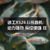 徐工XS263J压路机:动力强劲 操控便捷 压实效果卓越(图4) 徐工XS263J压路机:动力强劲 操控便捷 压实效果卓越(图4)