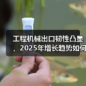 工程机械出口韧性凸显，2025年增长趋势如何？（图3）