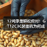 12吨承重轻松应对！GT12C3C起重机为何成为重型作业首选？（图2）