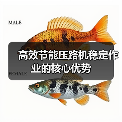 高效节能压路机稳定作业的核心优势(图1) 高效节能压路机稳定作业的核心优势(图1)