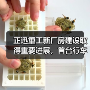 正迅重工新厂房建设取得重要进展,首台行车设备顺利上梁(图1) 正迅重工新厂房建设取得重要进展,首台行车设备顺利上梁(图1)