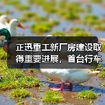 正迅重工新厂房建设取得重要进展,首台行车设备顺利上梁(图3) 正迅重工新厂房建设取得重要进展,首台行车设备顺利上梁(图3)