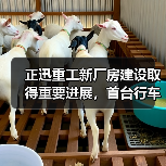 正迅重工新厂房建设取得重要进展,首台行车设备顺利上梁(图4) 正迅重工新厂房建设取得重要进展,首台行车设备顺利上梁(图4)