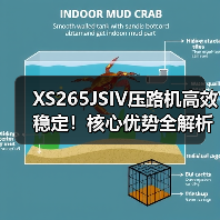 XS265JSIV压路机高效稳定！核心优势全解析（图1）