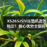 XS265JSIV压路机高效稳定！核心优势全解析（图4）
