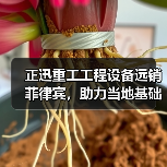 正迅重工工程设备远销菲律宾，助力当地基础设施建设（图2）