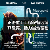 正迅重工工程设备远销菲律宾，助力当地基础设施建设（图4）