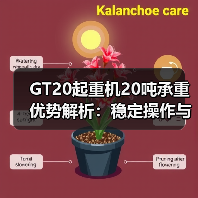 GT20起重机20吨承重优势解析：稳定操作与高效节能
