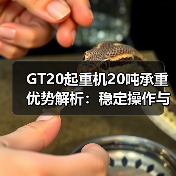 GT20起重机20吨承重优势解析:稳定操作与高效节能(图2) GT20起重机20吨承重优势解析:稳定操作与高效节能(图2)