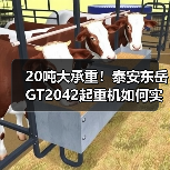 20吨大承重！泰安东岳GT2042起重机如何实现高效稳定起重？