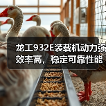 龙工932E装载机动力强效率高,稳定可靠性能优势解析(图4) 龙工932E装载机动力强效率高,稳定可靠性能优势解析(图4)