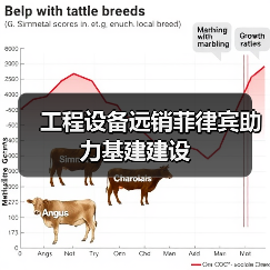 工程设备远销菲律宾助力基建建设(图4) 工程设备远销菲律宾助力基建建设(图4)