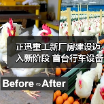 正迅重工新厂房建设迈入新阶段 首台行车设备上梁引关注(图4) 正迅重工新厂房建设迈入新阶段 首台行车设备上梁引关注(图4)