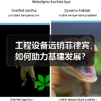 工程设备远销菲律宾,如何助力基建发展?(图3) 工程设备远销菲律宾,如何助力基建发展?(图3)