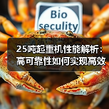 25吨起重机性能解析:高可靠性如何实现高效作业?(图2) 25吨起重机性能解析:高可靠性如何实现高效作业?(图2)