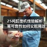 25吨起重机性能解析:高可靠性如何实现高效作业?(图3) 25吨起重机性能解析:高可靠性如何实现高效作业?(图3)