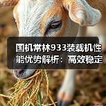 国机常林933装载机性能优势解析:高效稳定可靠(图2) 国机常林933装载机性能优势解析:高效稳定可靠(图2)