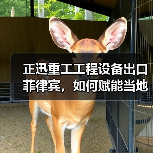 正迅重工工程设备出口菲律宾,如何赋能当地基建升级?(图2) 正迅重工工程设备出口菲律宾,如何赋能当地基建升级?(图2)