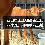 正迅重工工程设备出口菲律宾,如何赋能当地基建升级?(图1) 正迅重工工程设备出口菲律宾,如何赋能当地基建升级?(图1)