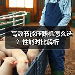 高效节能压路机怎么选？性能对比解析（图3）