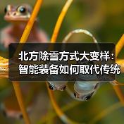 北方除雪方式大变样:智能装备如何取代传统手段?(图1) 北方除雪方式大变样:智能装备如何取代传统手段?(图1)