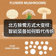北方除雪方式大变样:智能装备如何取代传统手段?(图3) 北方除雪方式大变样:智能装备如何取代传统手段?(图3)