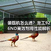 装载机怎么选?龙工926ND高效耐用性能解析(图2) 装载机怎么选?龙工926ND高效耐用性能解析(图2)