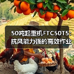50吨起重机FTC50T5:抗风能力强的高效作业利器(图1) 50吨起重机FTC50T5:抗风能力强的高效作业利器(图1)