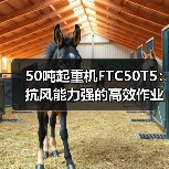 50吨起重机FTC50T5:抗风能力强的高效作业利器(图3) 50吨起重机FTC50T5:抗风能力强的高效作业利器(图3)