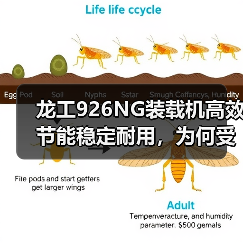 龙工926NG装载机高效节能稳定耐用，为何受用户青睐？（图1）