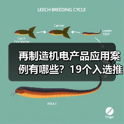 再制造机电产品应用案例有哪些?19个入选推动高质量发展(图2) 再制造机电产品应用案例有哪些?19个入选推动高质量发展(图2)