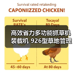 高效省力多功能抓草机装载机 926型草地管理优选(图4) 高效省力多功能抓草机装载机 926型草地管理优选(图4)
