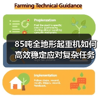 85吨全地形起重机如何高效稳定应对复杂任务?(图1) 85吨全地形起重机如何高效稳定应对复杂任务?(图1)