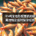 85吨全地形起重机如何高效稳定应对复杂任务?(图4) 85吨全地形起重机如何高效稳定应对复杂任务?(图4)
