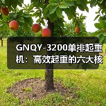 GNQY-3200单排起重机：高效起重的六大核心优势（图4）