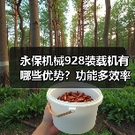 永保机械928装载机有哪些优势?功能多效率高,适用工地广泛(图4) 永保机械928装载机有哪些优势?功能多效率高,适用工地广泛(图4)