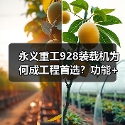永义重工928装载机为何成工程首选？功能+动力+操控全解析（图1）